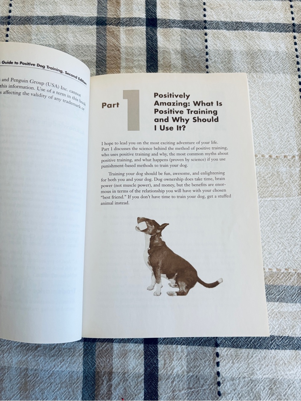 The Complete Idiots Guide to Positive Dog Training 2nd Edition 2005 Softcover - Picture 7 of 10